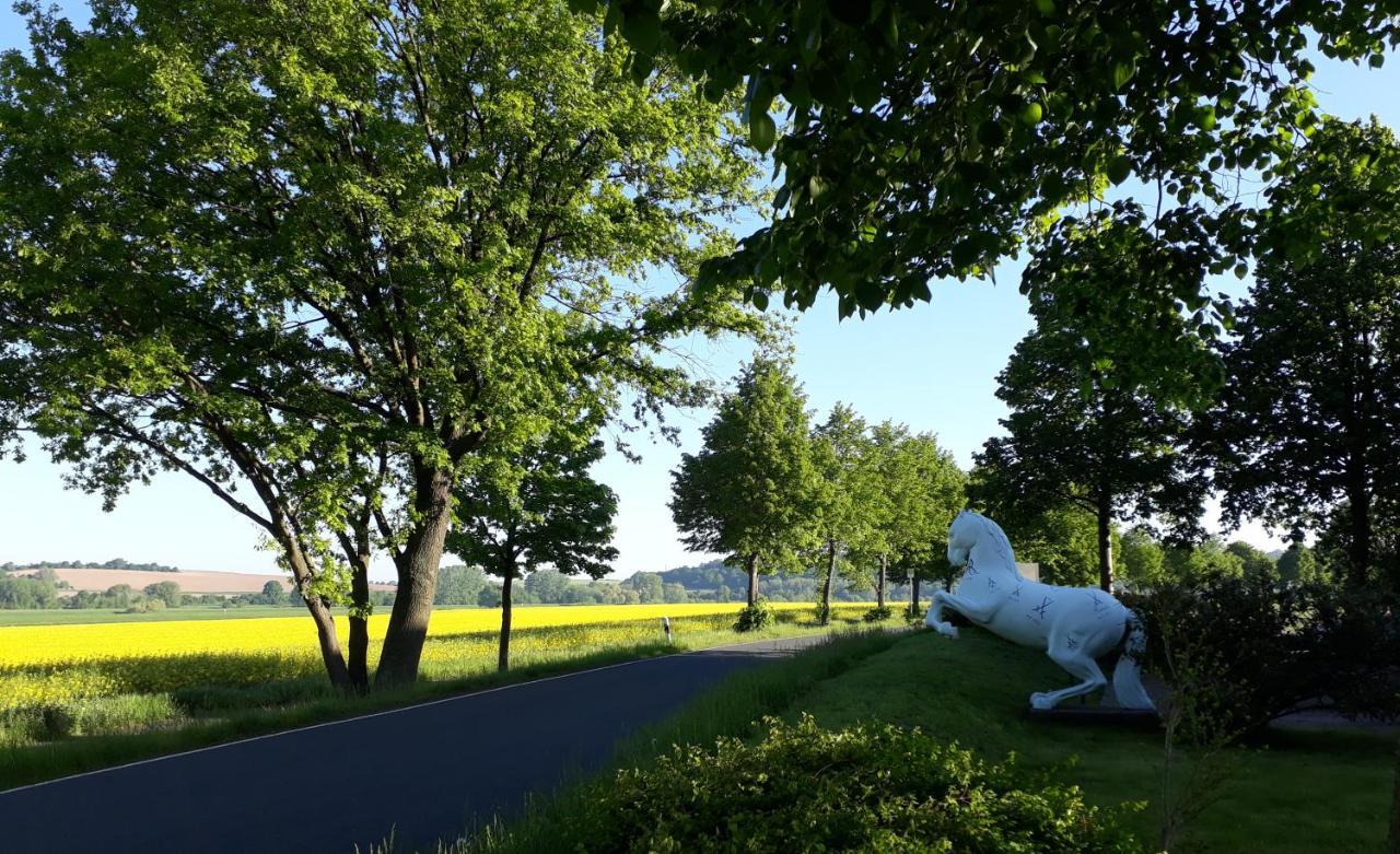 Reiterhof Schmidt, Gaststaette & Pension Golk 외부 사진